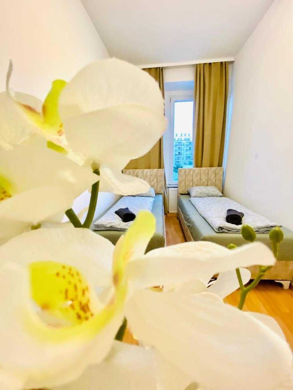 Comfortable Room In The 23Rd District Of Vienna Fr4 Exterior foto